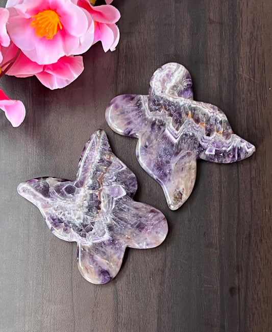 Butterfly Gua Sha